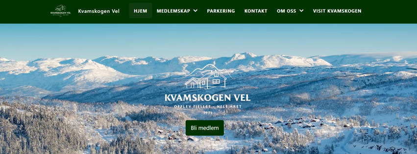 Ny hjemmeside